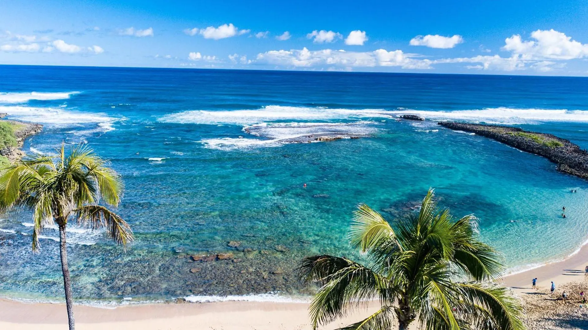 Villa 202 At Turtle Bay カフク